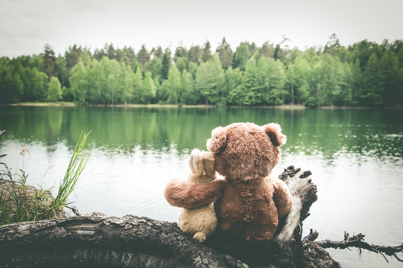 Two teddy bears Stitched in Friendship sitting on a log near a lake.
